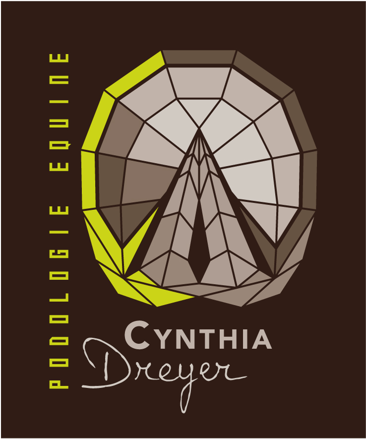 Cynthia DREYER